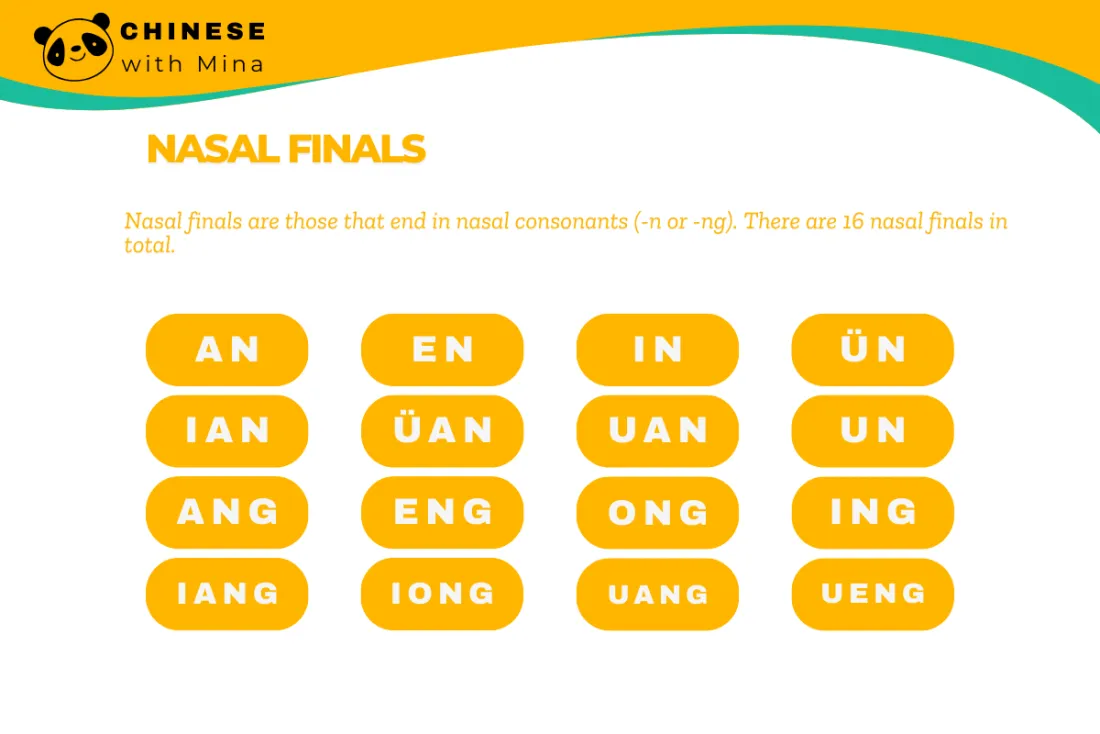 Nasal Finals